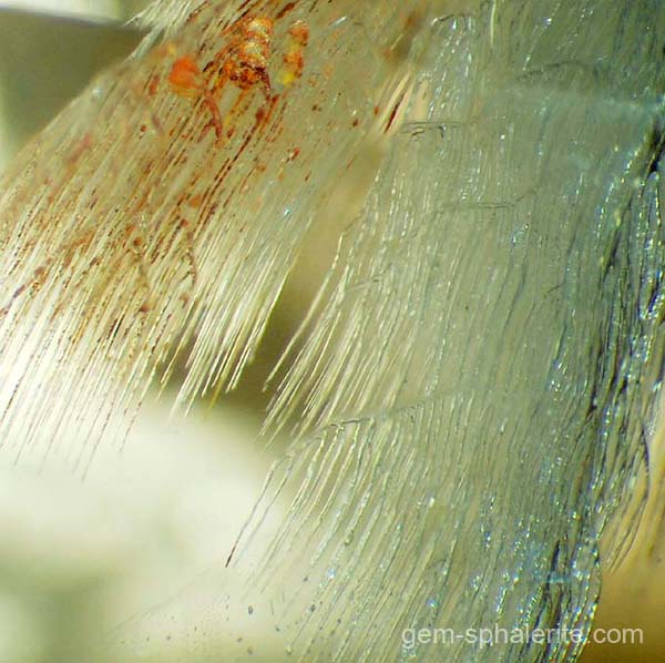 inclusions