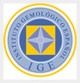 IGE logo