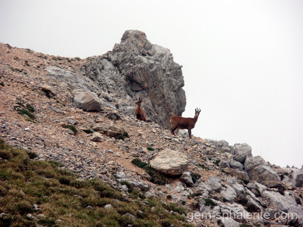 Picos de Europa Natural Park